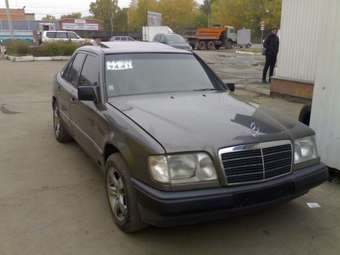 1991 Mercedes-Benz E-Class Pics