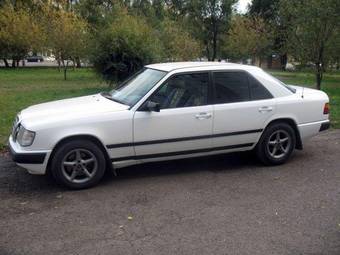 1991 Mercedes-Benz E-Class Pictures