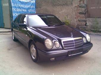 1998 Mercedes-Benz E-Class Pics