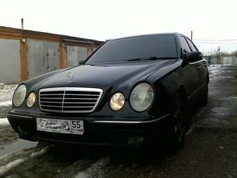 2001 Mercedes-Benz E-Class Pictures