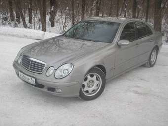 2004 Mercedes-Benz E-Class Pics