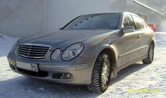 2004 Mercedes-Benz E-Class Pics