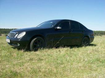 2004 Mercedes-Benz E-Class Pictures