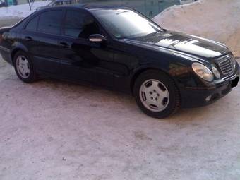 2007 Mercedes-Benz E-Class Pictures