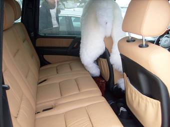 2008 Mercedes-Benz G-Class Images