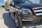 2015 Mercedes-Benz GL-Class II X166.824 GL 350 BlueTEC 4MATIC AT Special Series (249 Hp) 