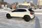 2017 Mercedes-Benz GLA-Class X156 GLA 250 4MATIC Special Series (211 Hp) 