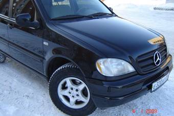 2001 Mercedes-Benz M-Class Pictures