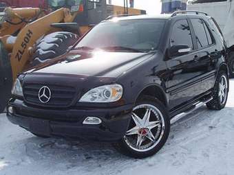 2002 Mercedes-Benz M-Class Pictures