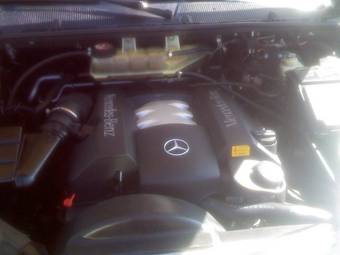 1999 Mercedes-Benz ML-Class Pictures