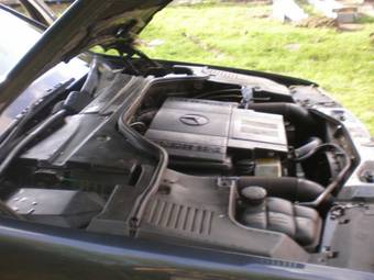 1995 Mercedes-Benz S-Class Pics