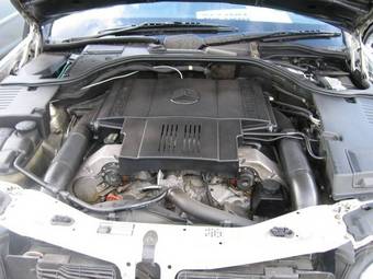 1996 Mercedes-Benz S-Class Pictures