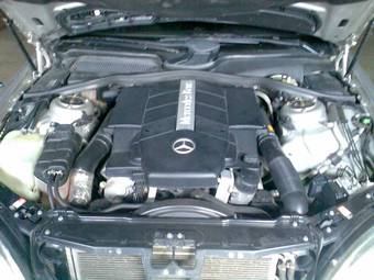 1999 Mercedes-Benz S-Class Pictures