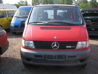 Vito