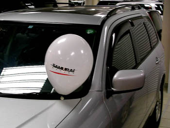 2001 Mitsubishi Airtrek Pictures