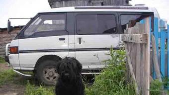 1990 Mitsubishi Delica Pictures