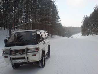 1991 Mitsubishi Delica