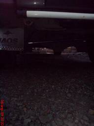 1994 Mitsubishi Delica Pics