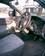 Preview Mitsubishi Delica