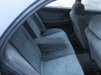Galant
