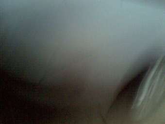 Galant