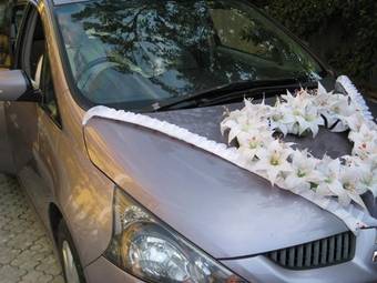 2004 Mitsubishi Grandis Pictures
