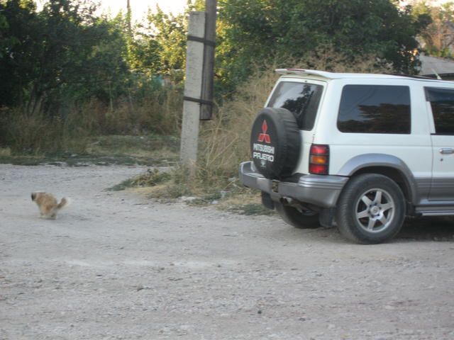 1995 Mitsubishi Pajero