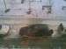 Preview 1994 RVR