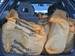 Preview Mitsubishi Space Wagon