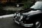 Preview Mitsuoka Viewt