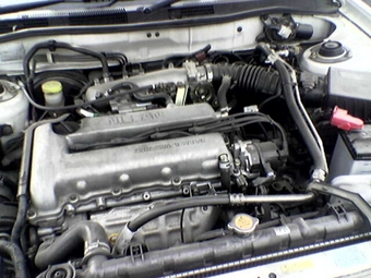 Nissan Avenir Salut