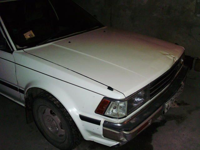 1984 Nissan Bluebird