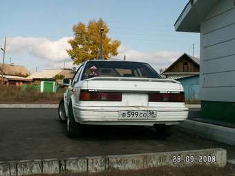 1986 Bluebird