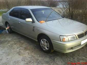 1996 Bluebird