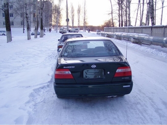 1997 Bluebird