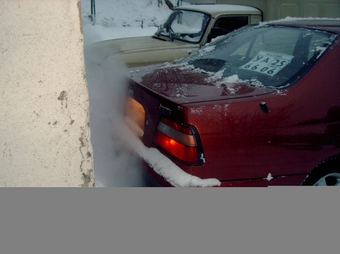 Nissan Bluebird