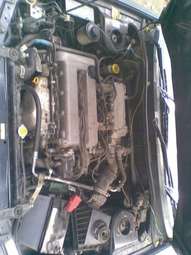 1998 Bluebird