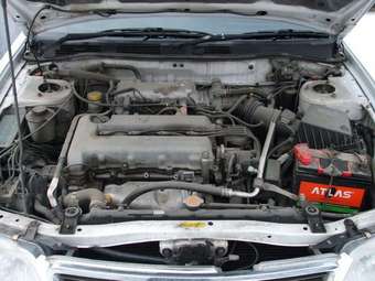 1998 Bluebird