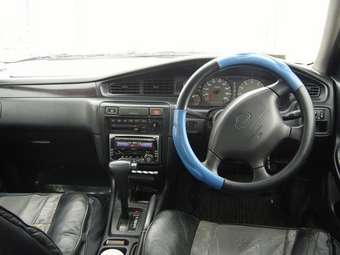 1998 Bluebird