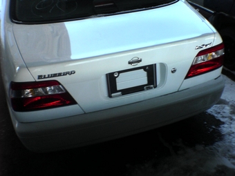 1999 Bluebird