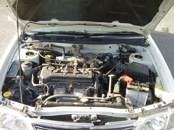Nissan Bluebird