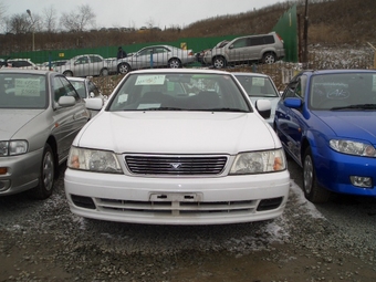 1999 Bluebird