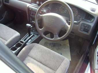 Nissan Bluebird