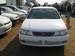 Pictures Nissan Bluebird