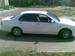 Preview 1999 Bluebird