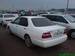 Preview Nissan Bluebird