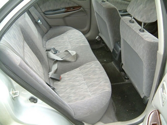 2001 Bluebird Sylphy