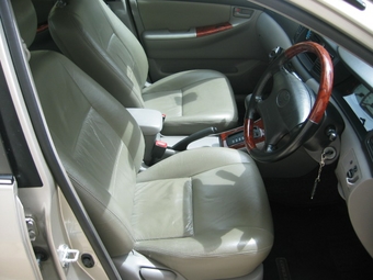 Nissan Bluebird Sylphy