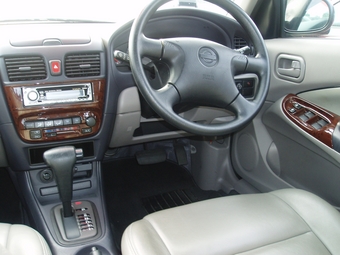 2001 Bluebird Sylphy