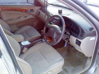 2001 Bluebird Sylphy